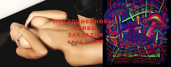 дживик Белоозёрский