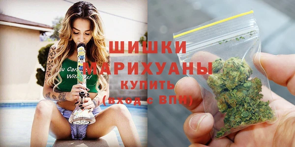 PSILOCYBIN Богородицк
