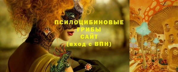 кокаин Белокуриха