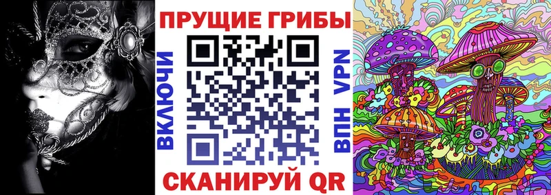 Галлюциногенные грибы прущие грибы  Купить где  Дыгулыбгей 